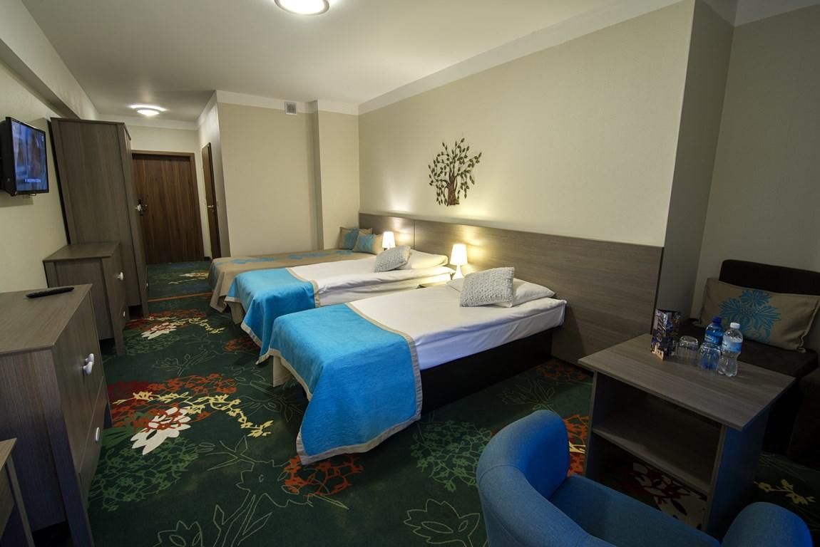 Отель Hotel EUROPA - Górnicza Strzecha Шклярска-Поремба-14