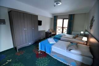 Отель Hotel EUROPA - Górnicza Strzecha Шклярска-Поремба Двухместный номер с 1 кроватью или 2 отдельными кроватями и балконом-4